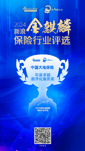 中國大地保險-年度數字化服務(wù)保險公司